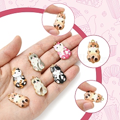 12pcs 6 pendentifs en alliage de couleurs&nbsp;FIND-FS0003-02