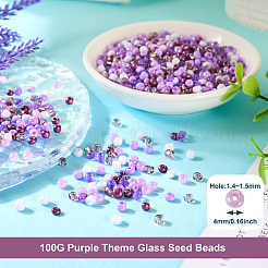 100 g di colori interni opachi e trasparenti 6/0 perline di vetro&nbsp;SEED-TA0001-12C
