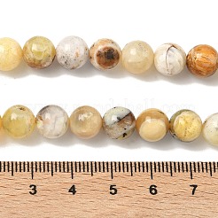 Natürliche gelb Opalkorne Stränge&nbsp;G-I213-18-8mm