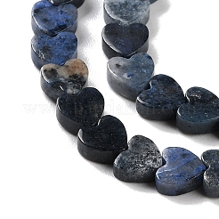 Natur Sodalith Perlen Stränge&nbsp;G-M403-A08-02