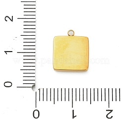 304 Edelstahl-Emaille-Anhänger&nbsp;LS-STAS-F331-01B-G