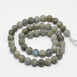 Labradorite naturelle brins de perles dépoli&nbsp;G-O155-04B-6mm