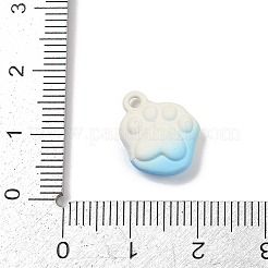 Lackierte legierungsanhänger&nbsp;PALLOY-S038-13B