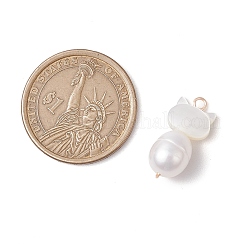 304 Edelstahl Pavé K9 Glas flache runde Verbindungsstück Charms&nbsp;PALLOY-TA00193