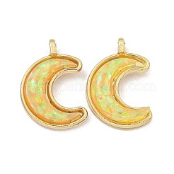 Pendenti in resina traslucida&nbsp;KK-M291-23G