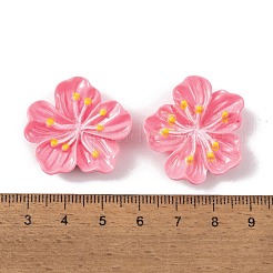 Harz Cabochons&nbsp;OACR-U002-03A