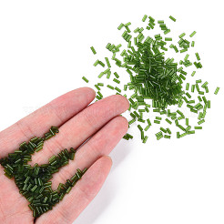 Canutillos de cristal transparente&nbsp;SEED-N005-001-C05