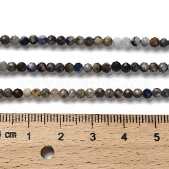Perline sodalite naturale fili&nbsp;LS-G-RM2025-A19-3mm