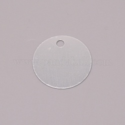Leere runde aluminium gravierte hundemarke, für Katzenwelpenanhänger, Silber, 30x1 mm, Bohrung: 4 mm