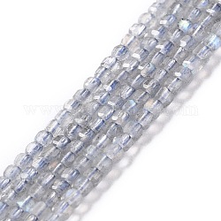 Natural Labradorite Beads Strands, Faceted, Cube, 2x2.5x2.5mm, Hole: 0.6mm, about 166pcs/strand, 15.55''(39.5cm)