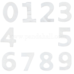 Ciondoli di conchiglie d'acqua dolce naturali sunnyclue, numero  0~9, numero, 10x7~8x3mm, Foro: 0.8 mm, 10pcs/scatola