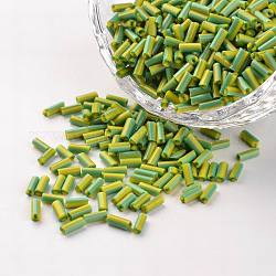 Opake Farben sickern Glasperlen, Rasen grün, 5x2 mm, Bohrung: 0.5 mm, ca. 18000 Stk. / 450 g