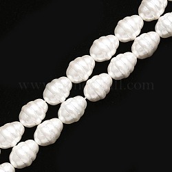 Shell Perlen Stränge, poliert, Oval, Schnee, 16x12 mm, Bohrung: 1 mm, ca. 25 Stk. / Strang, 15.75 Zoll (40 cm)