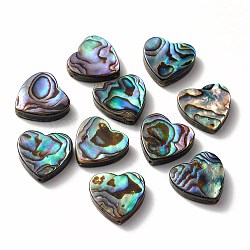 Conchiglia abalone / perle di conchiglia paua, cuore, colorato, 14x14x4mm, Foro: 1.2 mm