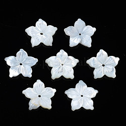 Cuentas de concha natural de blanco, flor, 11.5x12x2mm, agujero: 0.8 mm