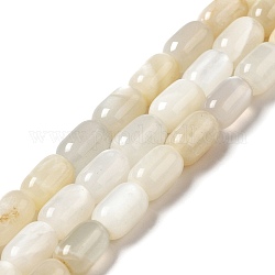 Naturelles perles pierre de lune blanc brins, colonne, 9x6mm, Trou: 0.9~1mm, Environ 20~21 pcs/chapelet, 7.09~7.48 pouce (18~19 cm)
