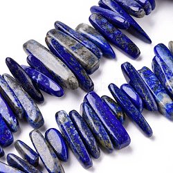 Perles de pépites de lapis lazuli naturel de brins, teinte, 12~25x5~7mm, Trou: 1mm, 16 pouce