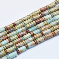 Fili di perline naturali aqua jasper, colonna, colonna: 10x6 mm, schiena piatta:6x3mm, Foro: 1 mm, circa 32pcs/filo, 16.14 pollice (41 cm)