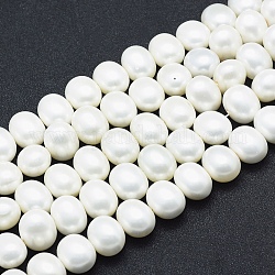 Chapelets de perles de coquille, polie, ovale, blanc, 16x13x12mm, Trou: 1mm, Environ 32 pcs/chapelet, 16.1 pouce (41 cm)