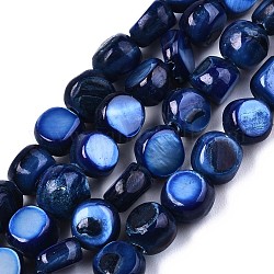 Natural Freshwater Shell Beads Strands, Dyed, Nuggets, Blue, 6~7x5~7x2~7mm, Hole: 0.8mm, about 58~62pcs/strand, 14.57~15.35 inch (37~39cm)