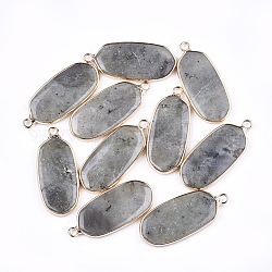 Natural Labradorite Pendants, with Brass Findings, Oval, Golden, 36~37x15~16x3~4mm, Hole: 2mm
