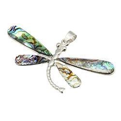 Abalone/ Paua Sea Shell Pendants, with Brass Findings, Dragonfly, Platinum, Colorful, Size: about 34~56.5mm wide, 34mm long, 2.2mm thick, hole: 4mm