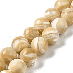 Fili di perline di conchiglia trochus naturale, tondo, Burlywood, 12~12.5mm, Foro: 1 mm, circa 33pcs/filo, 15.67'' (39.8 cm)
