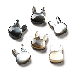 Perles de lèvre noire en coquillage naturel , lapin, noir, 9x7x3.5mm, Trou: 0.8mm