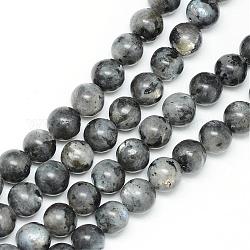 Brins de perles de larvikite naturelles, ronde, 12~13mm, Trou: 1mm, Environ 32 pcs/chapelet, 15.7 pouce