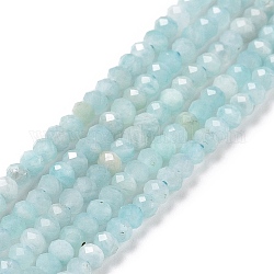 Chapelets de perles en amazonite naturelle, facette, rondelle, 3x2mm, Trou: 0.3mm, Environ 188 pcs/chapelet, 15.55 pouce (39.5 cm)