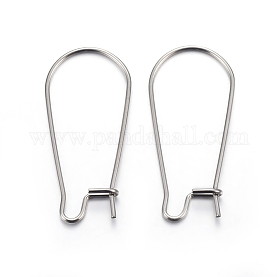 18pcs Stainless Steel Kidney Ear Wires Hypoallergenic Hoop