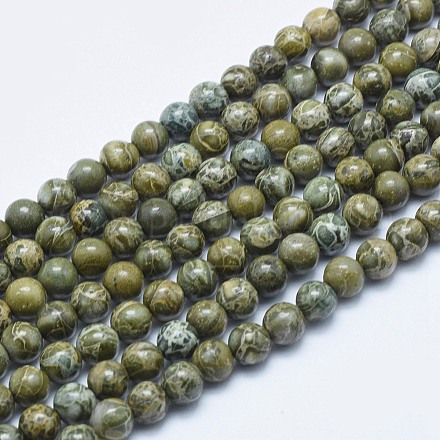 Perles crocodile naturel de jaspe de peau brins G-E444-26-6mm-1