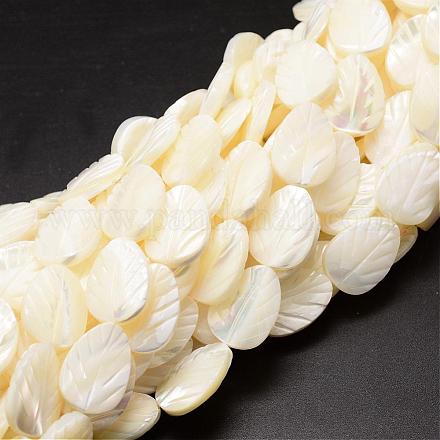 Chapelets de perles de coquille de trochid / trochus coquille SSHEL-K015-07-A-1