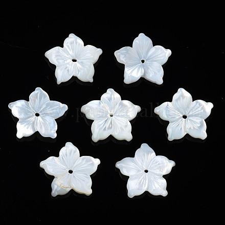 Perles de coquillage blanc naturel SSHEL-N027-131A-01-1