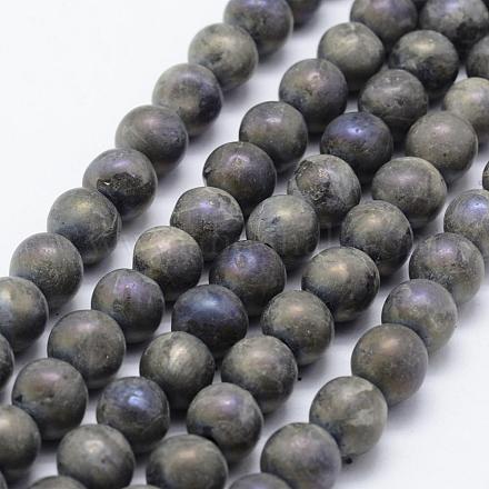 Electroplate Natural Labradorite Beads Strands G-F518-05-8mm-1