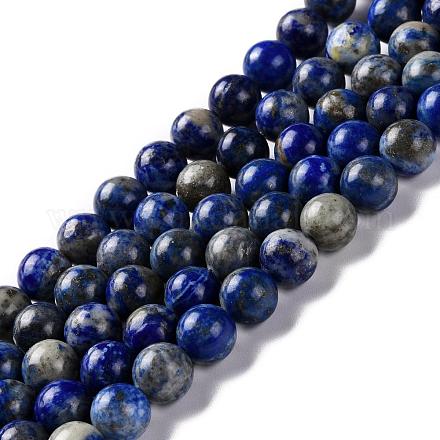 Natural Lapis Lazuli Beads Strands G-G099-8mm-7B-1