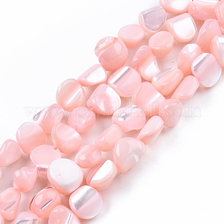 Fili di perle di conchiglia trochid naturale / trochus SSHEL-N032-49-A05-1