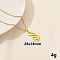 304 Stainless Steel Serpentine Pendant Necklaces, Cable Chain Necklaces