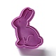 Cortadores de galletas de plástico para mascotas con temática de Pascua. DIY-K056-09-2