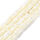 Brins de perles de coquillages naturels de troca BSHE-E030-04-1