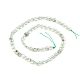 Chapelets de perles en préhnite naturelle G-I271-A05-6x6mm-2