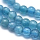 Natural Apatite Beads Strands X-G-A177-04-12-3