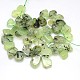 Natural Gemstone Prehnite Beads Strands G-L157-03-3
