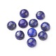 Cabochons en lapis lazuli naturel G-L507-02D-02-1