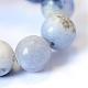 Chapelets de perle ronde en sodalite naturelle G-E334-10mm-08-4