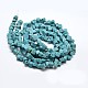 Chips Natural Turquoise Beads Strands G-N0134-06-3