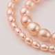 Natural Cultured Freshwater Pearl Graduated Beads Strands PEAR-G007-05B-3