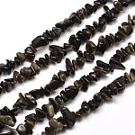 Brillance dorée naturelle puce obsidienne brins de perles, 5~8x5~8mm, Trou: 1mm, environ 31.5 pouce