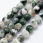 Chapelets de perles en agate d'arbre naturelle, ronde, 6mm, Trou: 1.2mm, Environ 63 pcs/chapelet, 14.76 pouce (37.5 cm)