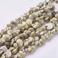 Natural Sea Shell Beads Strands, Dyed, Square Chip, White,  1~3.5x4.5~10x4.5~10mm, Hole: 0.5mm, 16.1 inch~16.9 inch